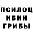 Псилоцибиновые грибы мухоморы Maayan Karol
