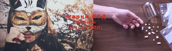 стаф Богородск