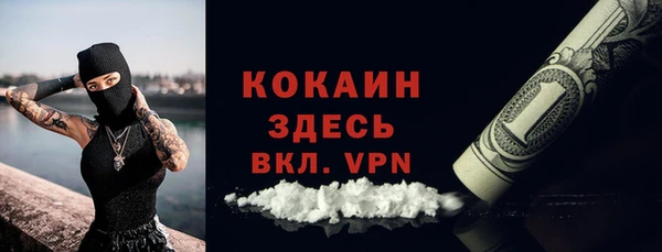 стаф Богородск