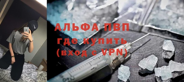 стаф Богородск